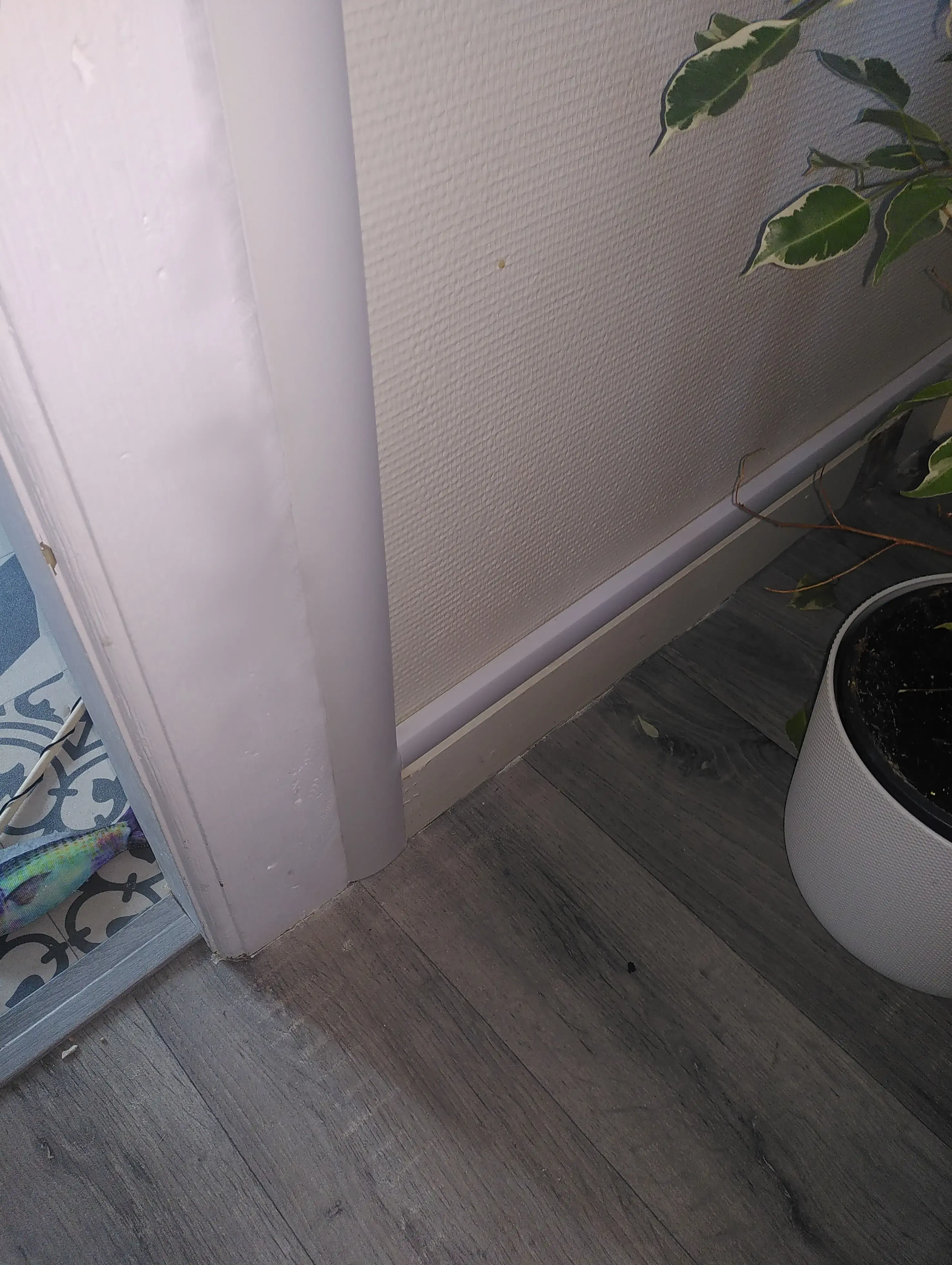 Moulure intégrée pour passage de câbles